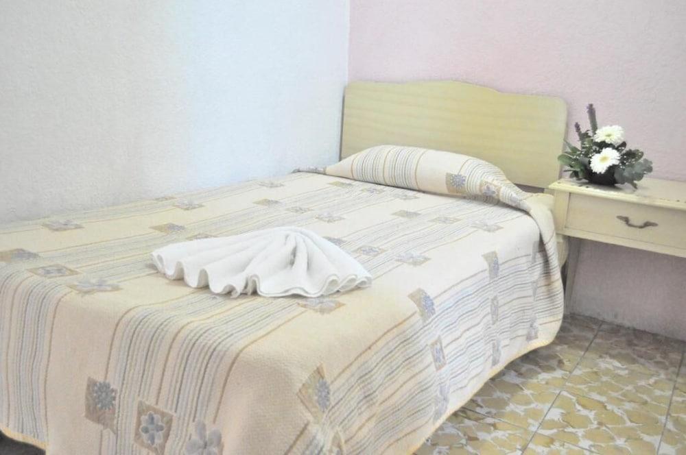 Hotel Viena Irapuato Bagian luar foto