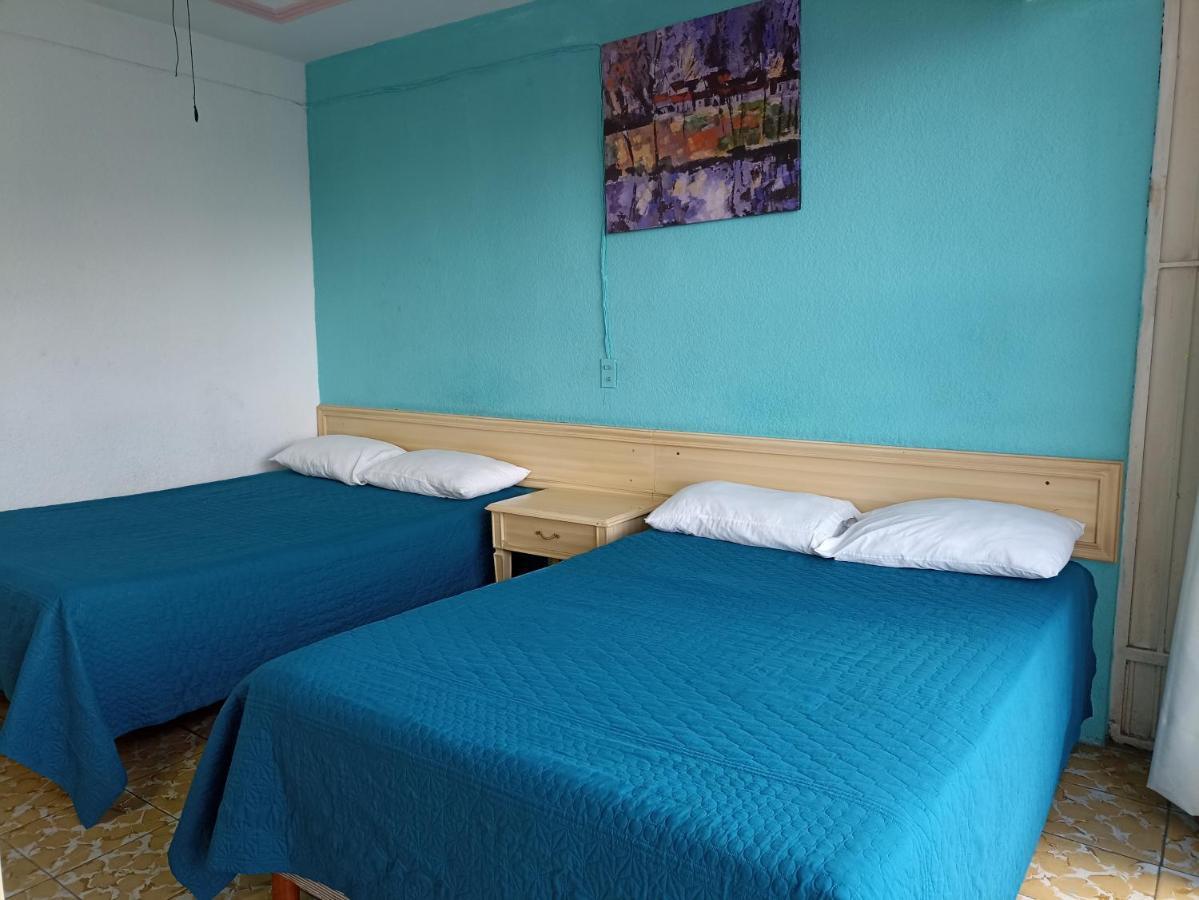 Hotel Viena Irapuato Bagian luar foto